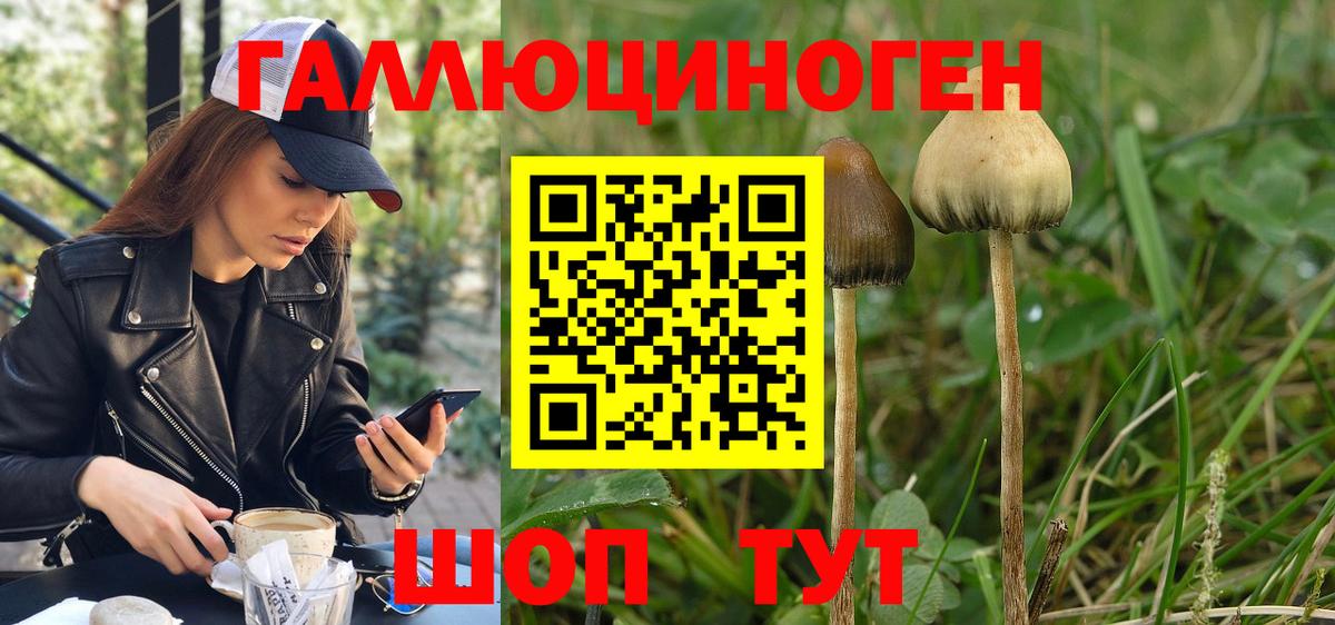 что такое   Галлюциногенные грибы мухоморы  Вход с VPN  Аргун 