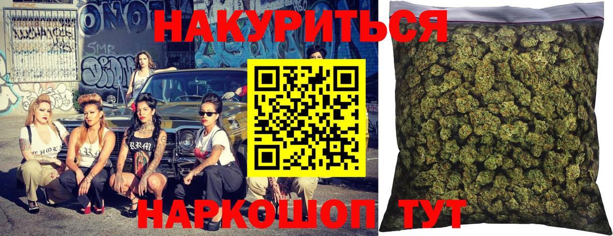 Канабис сатива Аргун